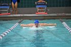 Swim vs Bentley  Wheaton College Swimming & Diving vs Bentley University. - Photo by Keith Nordstrom : Wheaton, Swimming & Diving